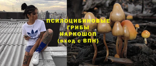 тгк Алзамай