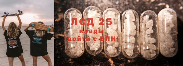 прущие грибы Алексеевка