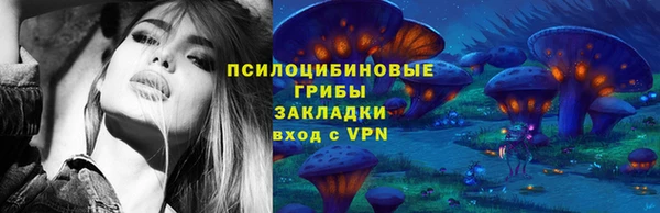 прущие грибы Алексеевка