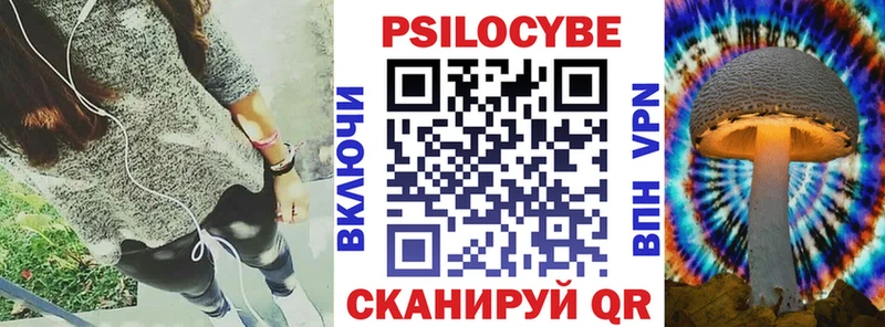 omg ТОР  Змеиногорск  Галлюциногенные грибы Psilocybe 